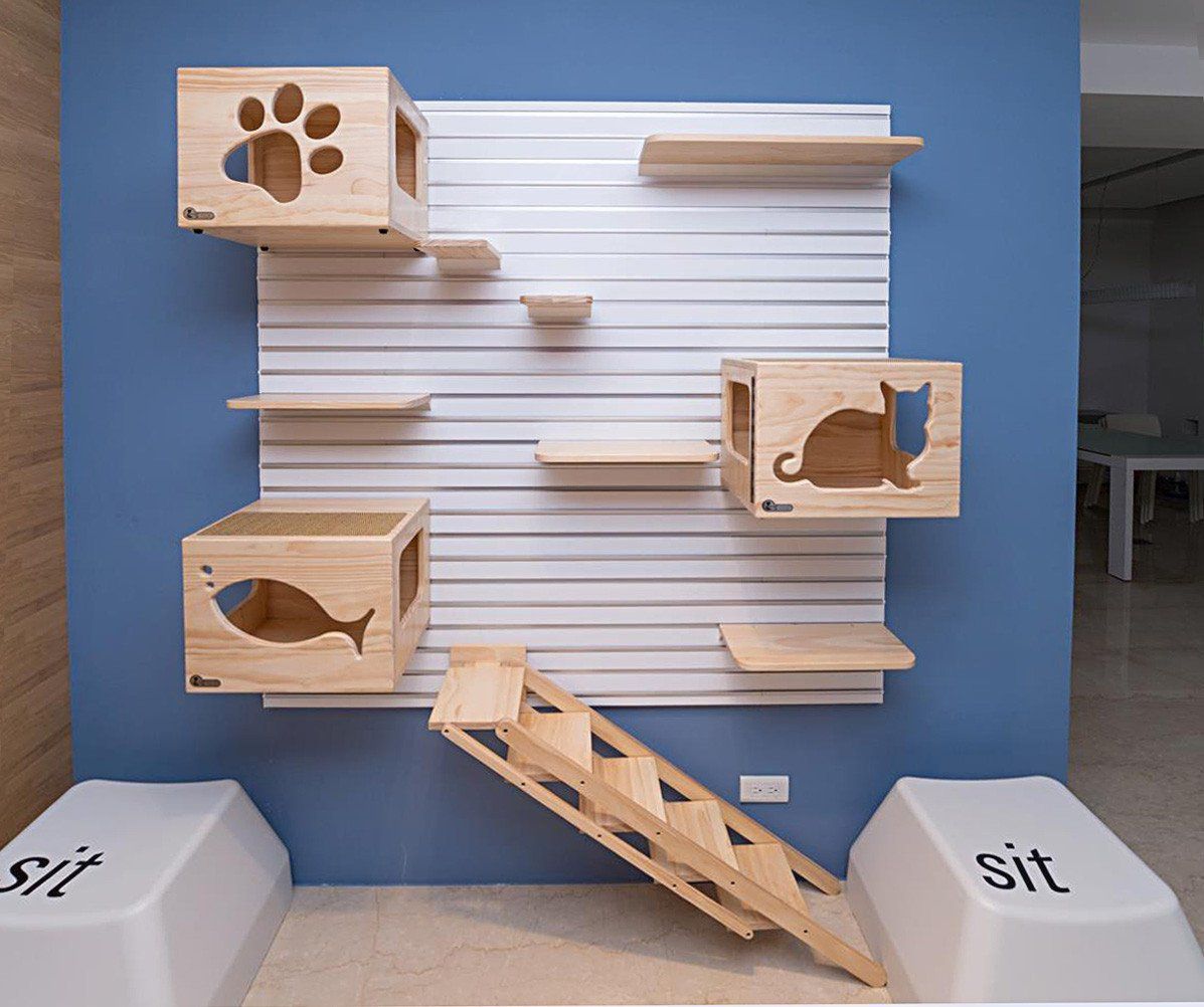 猫咖装修风格如何选择？