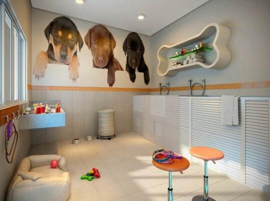 宠物店怎么设计？宠物店设计3大原则